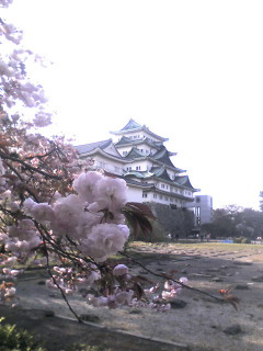 名城公園